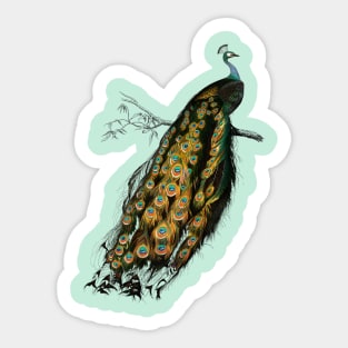 Vintage indian peafowl bird-animalia clothing Sticker